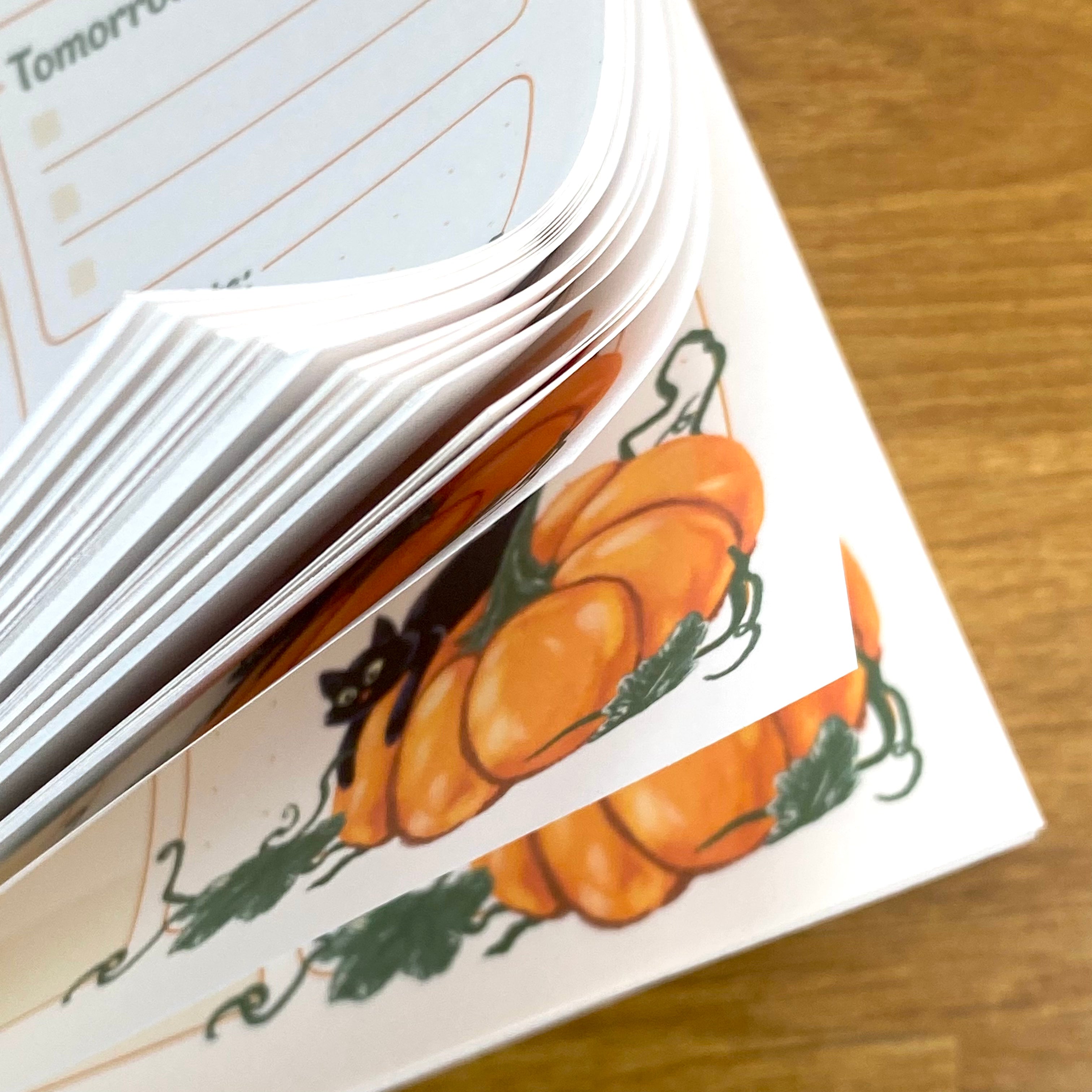 Daily Planner Notepad - Autumn Pumpkin Cats